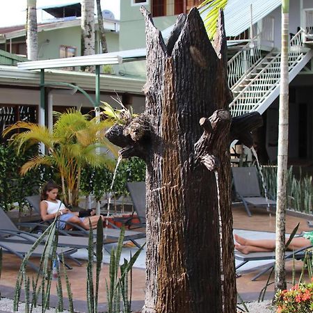 Arenal Poshpacker Hostel La Fortuna Luaran gambar